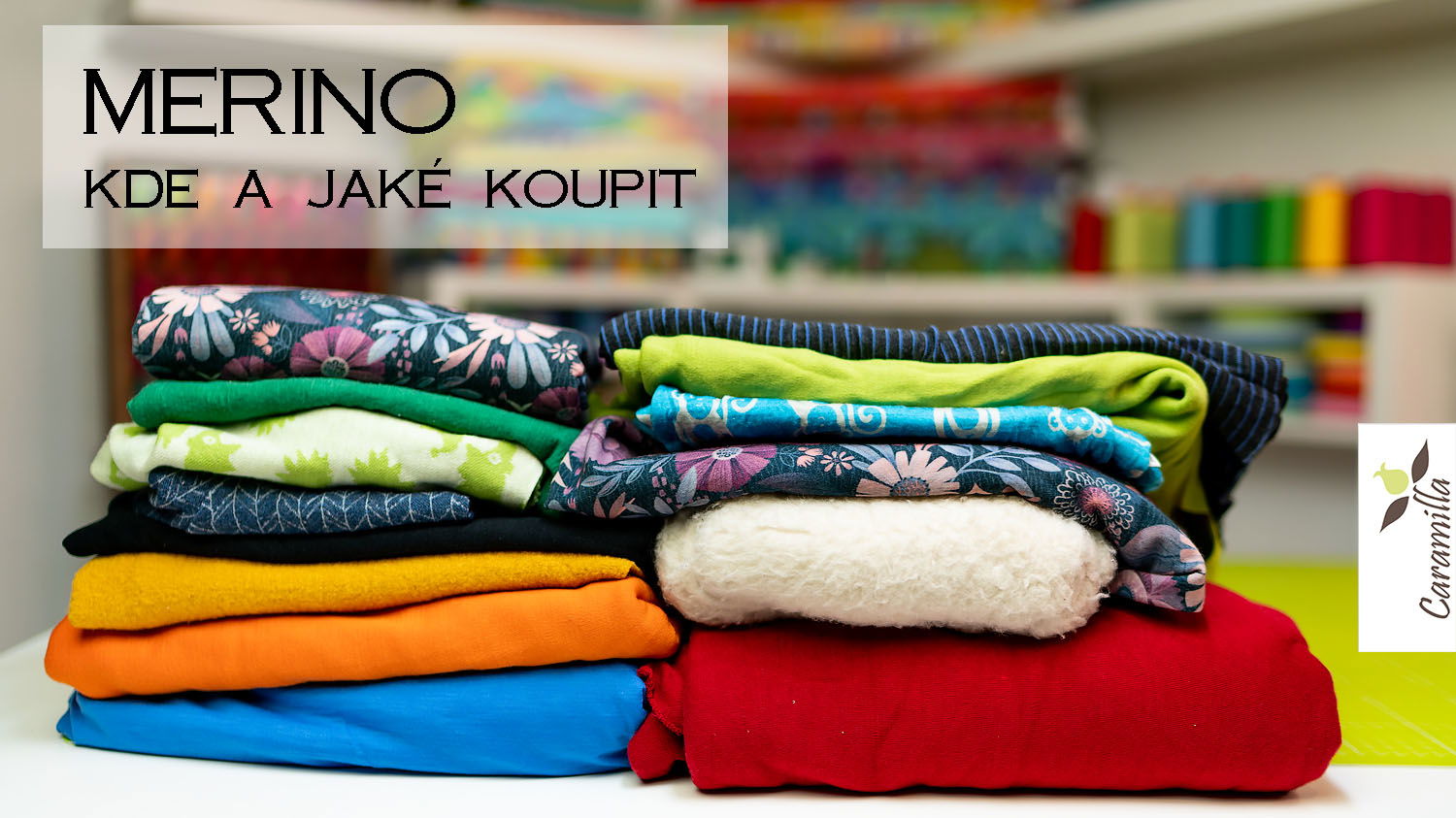 Merino: vlastnosti a kde ho koupit