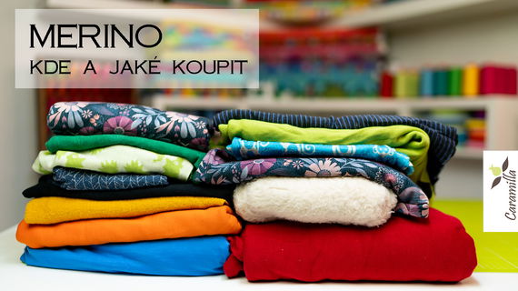 Merino: vlastnosti a kde ho koupit