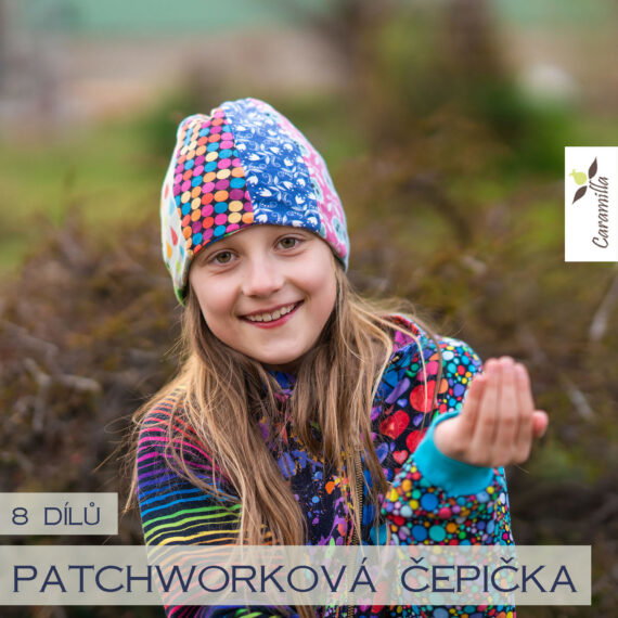 cepicka_patchwork_8_dilu